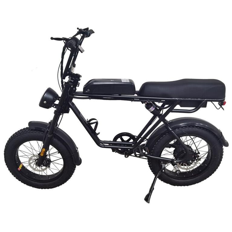AKEZ 750W 48V R1ZCC Snow Bicycle 20" Electric Bike Battery Black
