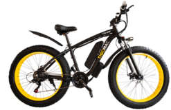 Electric Fat Bike