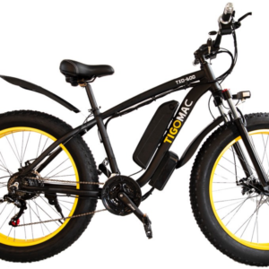 Electric Fat Bike