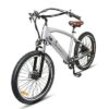 Santa Monica Electric Bike - Relaxed E Cruiser - Long Range - Image 3