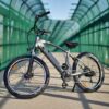 Santa Monica Electric Bike - Relaxed E Cruiser - Long Range - Image 7