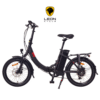 FOO F1 Folding Electric Bike, 250W E-Bike, 36V 13Ah 468Wh Battery - Image 3