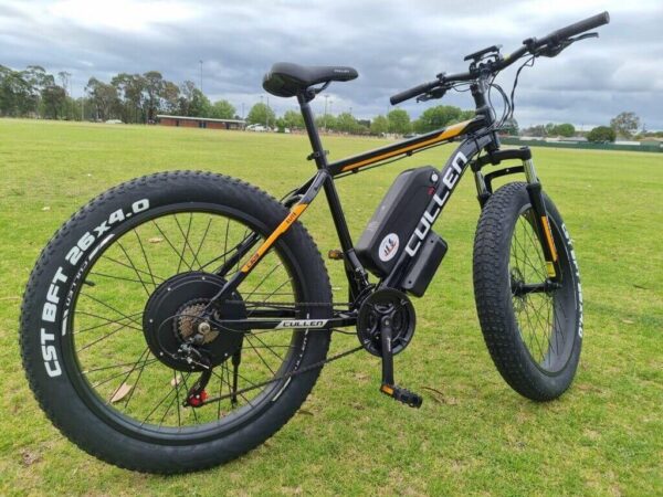 FAT TYRE ELECTRIC BIKE 26inch 4.0 1000W 48V 15AH EBIKE Hydraulic Brake - Image 2