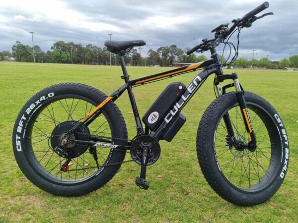 FAT TYRE ELECTRIC BIKE 26inch 4.0 1000W 48V 15AH EBIKE Hydraulic Brake - Image 3