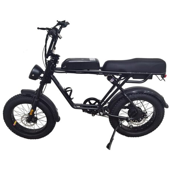 AKEZ 750W 48V R1ZCC Snow Bicycle 20" Electric Bike Battery Black