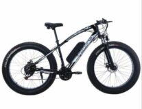 Fat Electric E-Bike Bike Shimano 21 Speed Mountain Bicycle