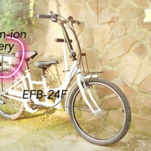NO speed lock Electric Bicycle Taiwan made