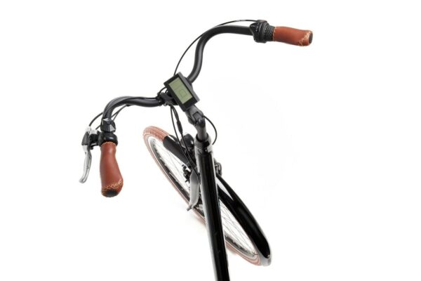 Step-through Electric Bike - Wheelstrom 36V 250W - Emerald - Image 3