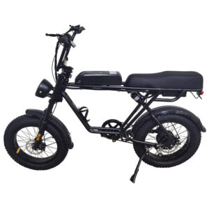 AKEZ 750W 48V R1ZCC Snow Bicycle 20" Electric Bike eBike Battery Black