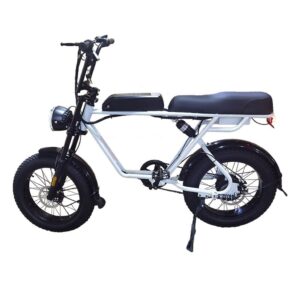 AKEZ 750W 48V R1ZCC Snow Bicycle 20" Electric Bike Battery White