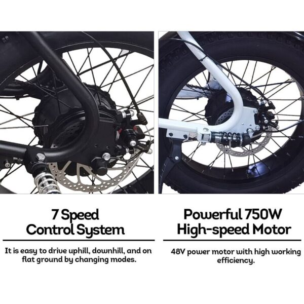 AKEZ 750W 48V R1ZCC Snow Bicycle 20" Electric Bike Battery White - Image 10