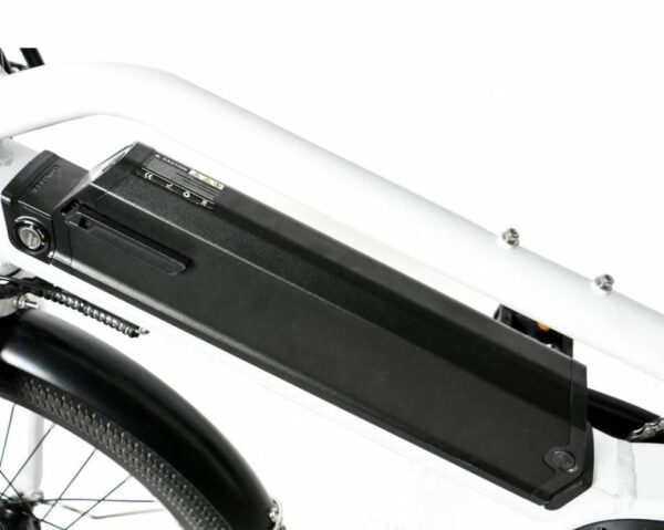 EUNORAU 24" 48V 500W Rear Motor Electric Cargo Bike Throttle - Image 5