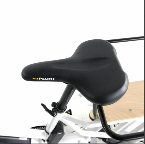 EUNORAU 24" 48V 500W Rear Motor Electric Cargo Bike Throttle - Image 7
