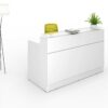 Office Furniture Classic Reception Counter Reception Desk White Side Panel