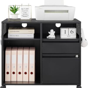 Metal File Cabinet with Shelves,Lockable Drawers Black Office Legal/Letter/A4