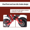 Dual Motor Electric Scooter 2000W 70KM/H 60KM Foldable Adult Off Road E-Bike - Image 4