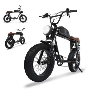 Electric Bike Scooter 800W Waterproof Off-Road Bicycle IPX4 Gift MONSTER Xmas