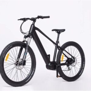 Estate Electric Bike (Brand new)