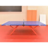 DOUBLE FISH SW321 Outdoor Waterproof Blue Table Tennis Pingpong Table-Bats Balls Net ITTF Approve - Image 5