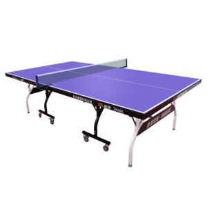DOUBLE FISH 2028S 18mm Black&Blue Foldable Solo Play Indoor Table Tennis/Ping Pong Table - Bats Ball Net ITTF Approve