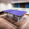 DOUBLE FISH 2028S 18mm Black&Blue Foldable Solo Play Indoor Table Tennis/Ping Pong Table - Bats Ball Net ITTF Approve - Image 4