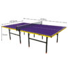 DOUBLE FISH 518E 15mm Black&Blue Pro Indoor Table Tennis/Ping Pong Table - Bats Ball Net ITTF Approve - Image 14