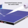 DHS T3088 15mm Indoor Blue Table Tennis Pingpong Table - Bats Balls Net - Image 5