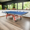 DOUBLE FISH 323 18mm Red&Blue Indoor Table Tennis/Ping Pong Table - Bats Ball Net ITTF Approve - Image 6