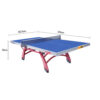 DOUBLE FISH 328A 25mm Blue&red Indoor Tennis/Ping Pong Table - Bats Ball Net ITTF Approve - Image 5