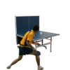 DOUBLE FISH K2 Indoor 15mm Blue Foldable Solo Play Table Tennis Pingpong Table-Bats Balls Net ITTF Approve - Image 8