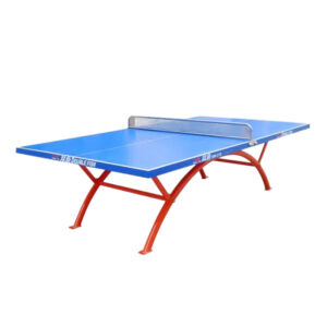 DOUBLE FISH SW318A Outdoor Waterproof Blue Table Tennis Pingpong Table/Bats Balls Net ITTF Approve