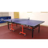 DOUBLE FISH 201 Indoor 18mm Blue Foldable Solo Play Table Tennis Pingpong Table-Bats Balls Net ITTF Approve - Image 4