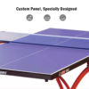 DHS T2828 18mm Indoor Blue Table Tennis Pingpong Table - Bats Balls Net - Image 5