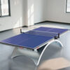 DHS NEORB&GOLDRB Premium 25mm Indoor Black&Blue Table Tennis Pingpong Table - Bats Balls Net - Image 13